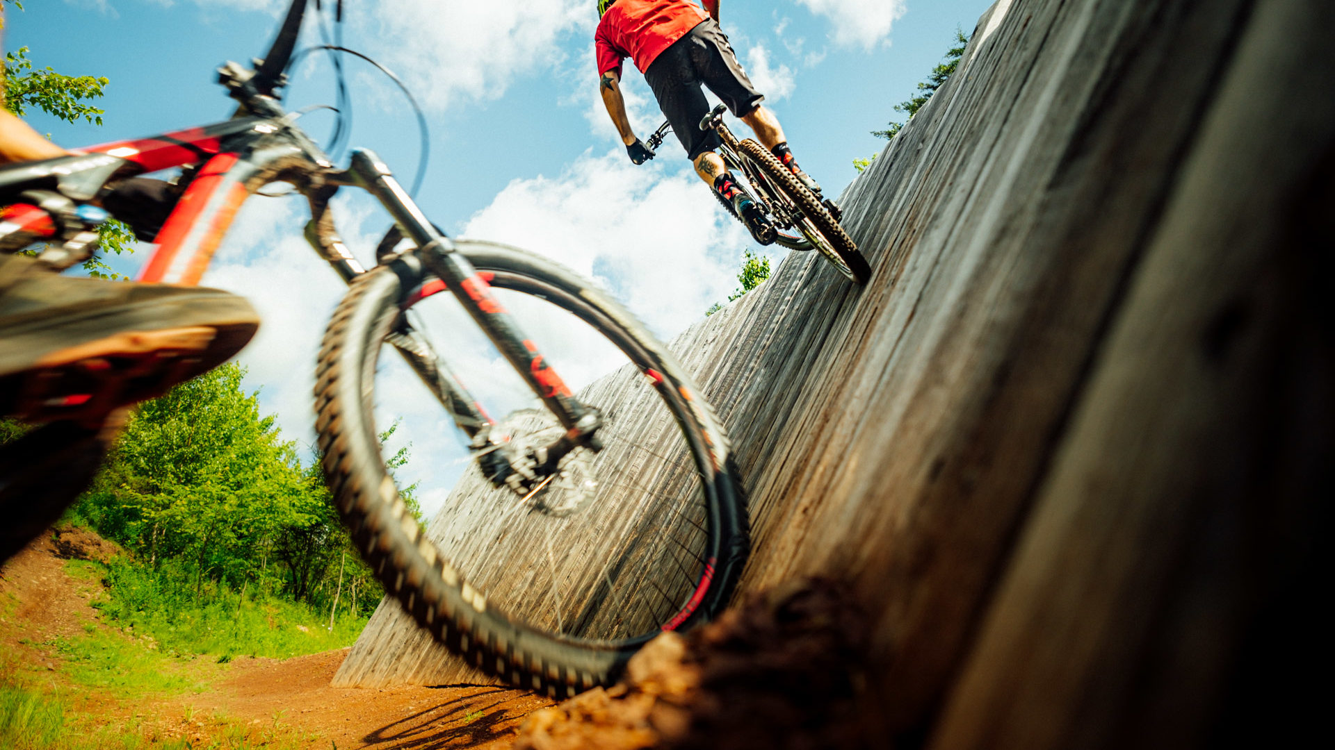 Mountain Bike Ари