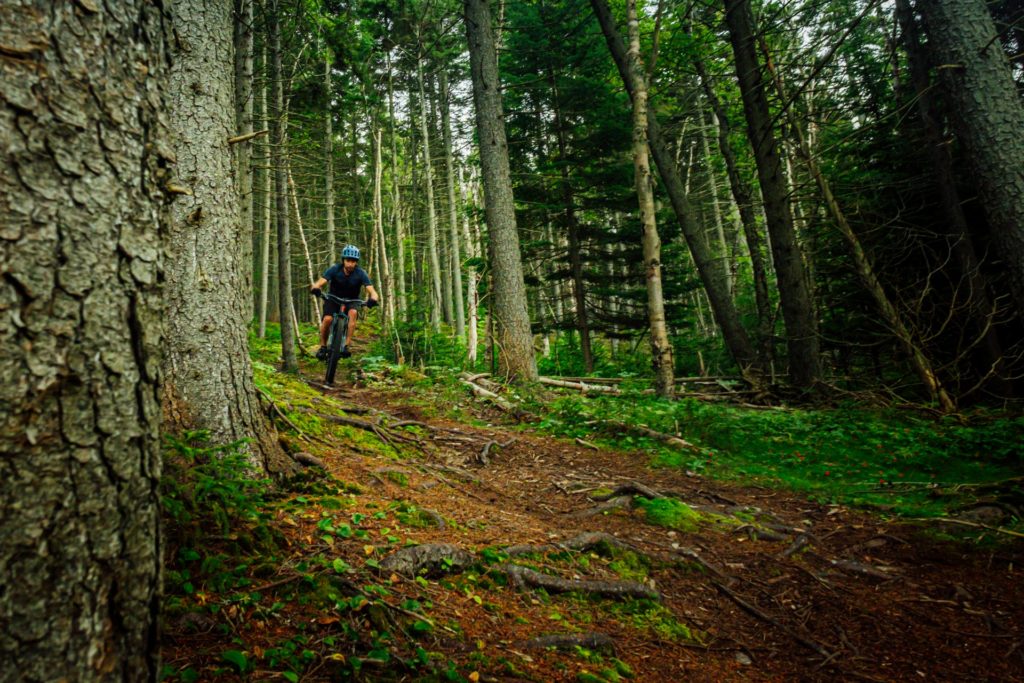 Shaun riding through the spruce trees on Mackay Skyway