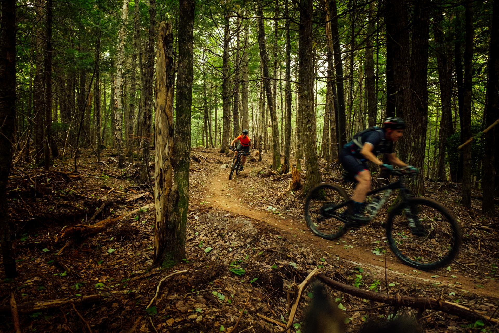 White rock cycles 2025