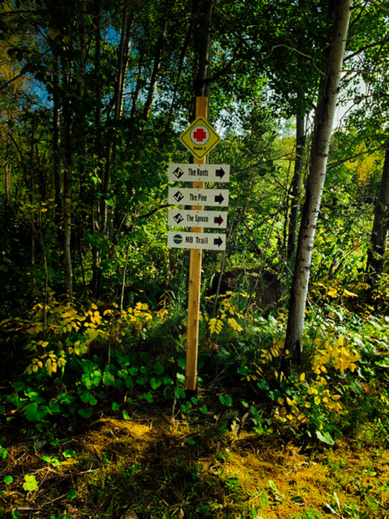 Trail Signs