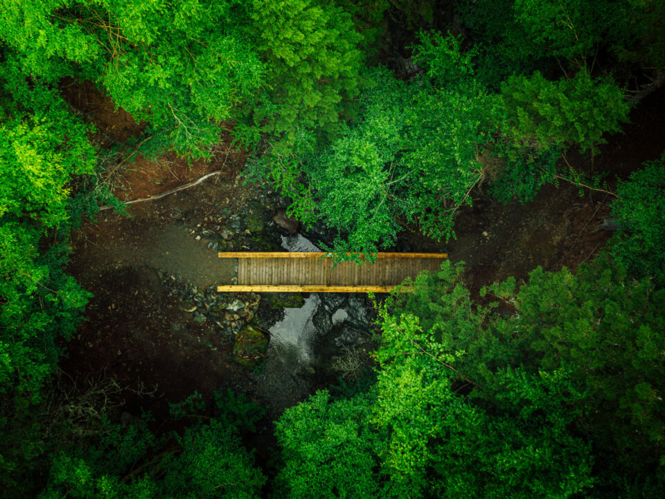 Goose River Trail