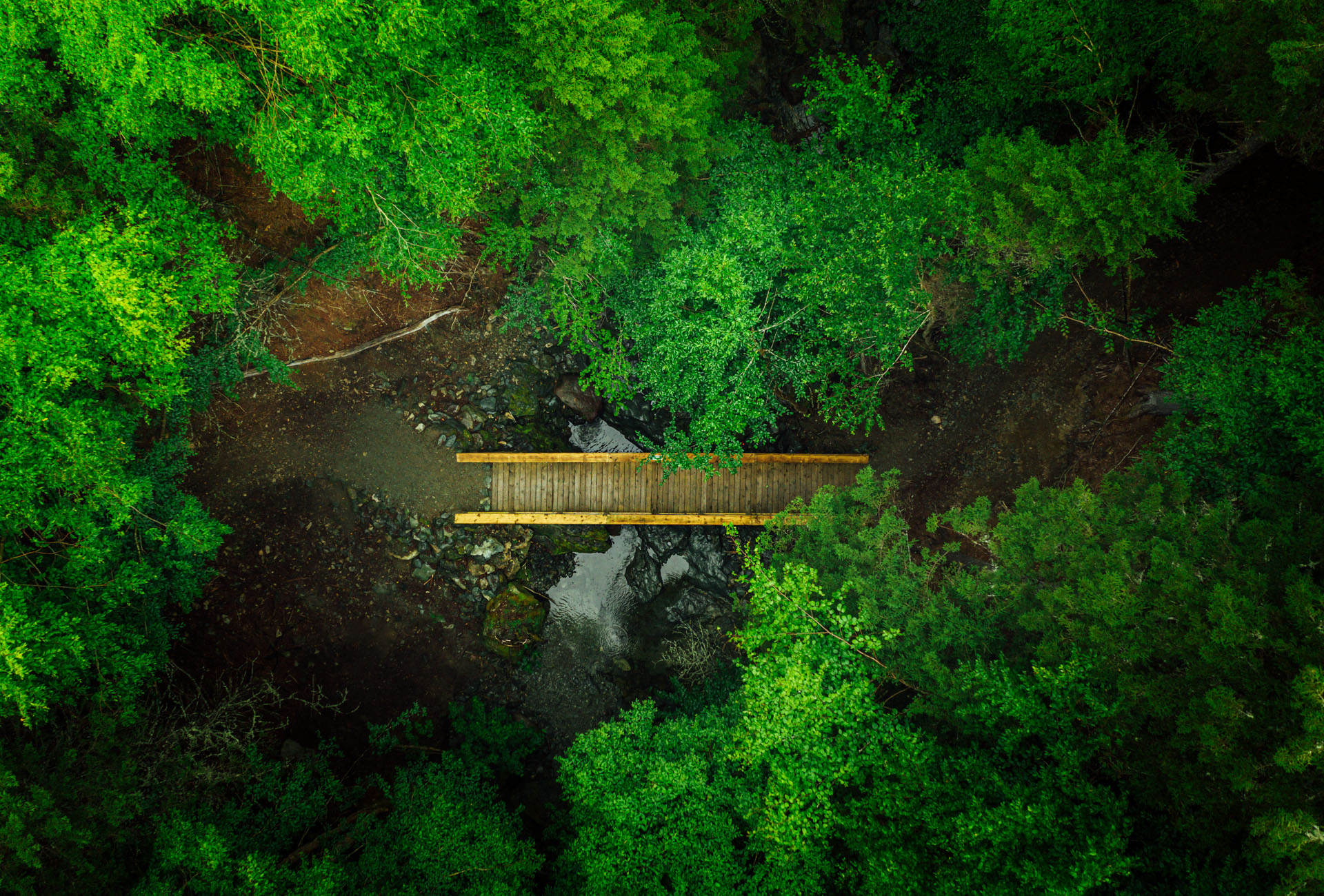 Goose River Trail