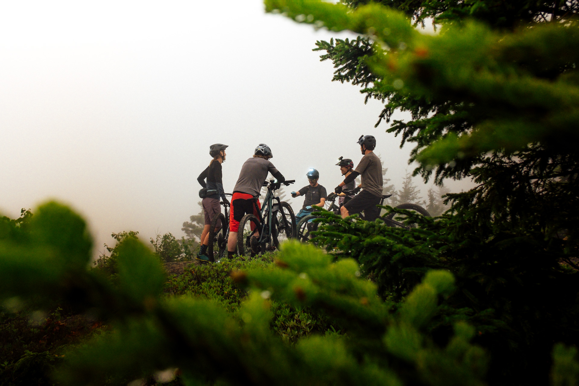 The team discussing the next trail to explore in Rockwood Park under a blanket of fog.