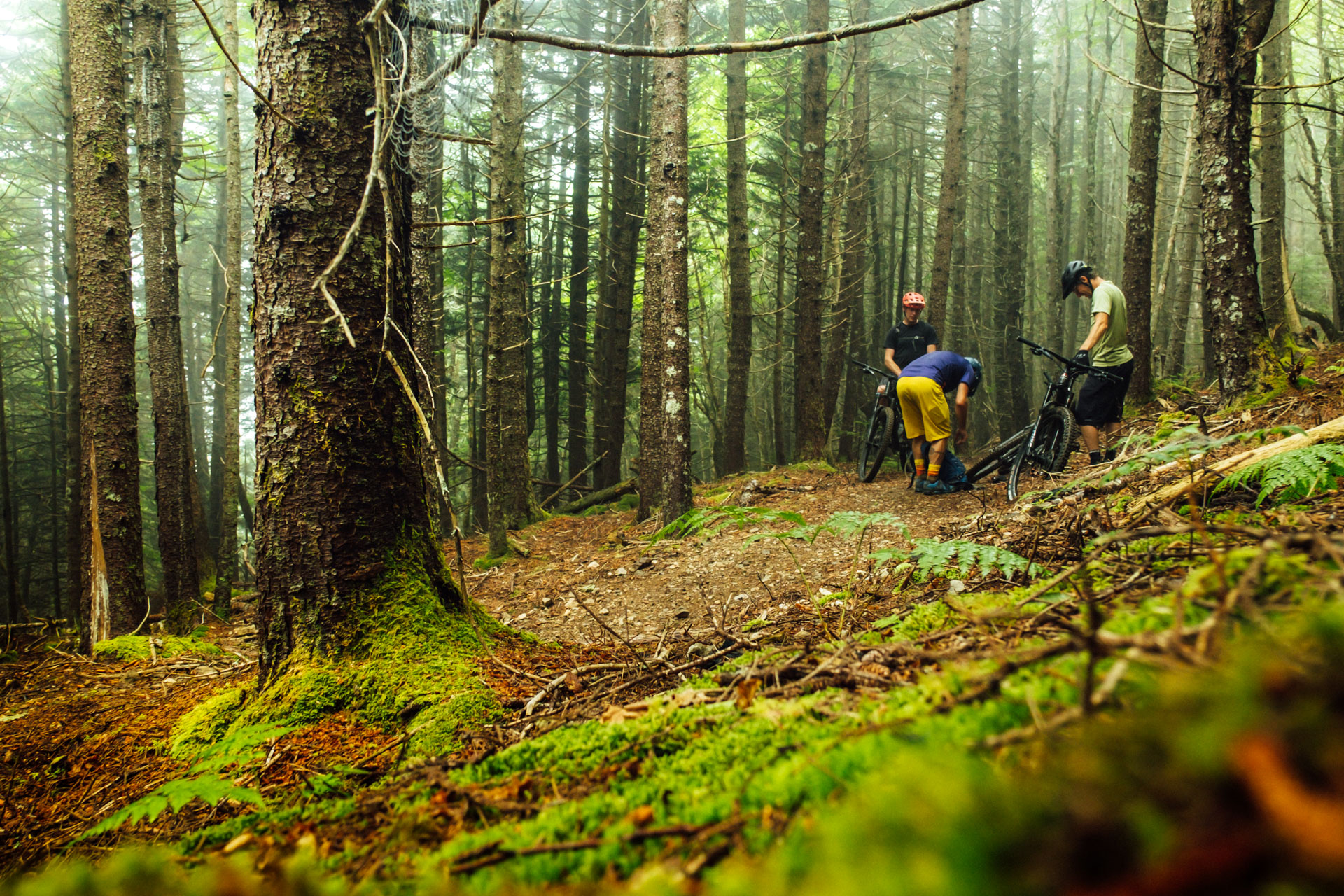 Mountain Bike mechanical breakdown on Fundy National Park's Goose River trail