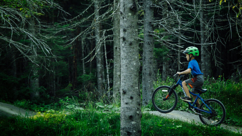 Fundy National Park Pump Track
