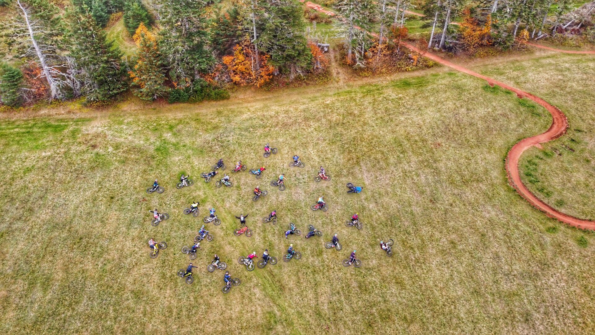 Riders on the fields of Brookvale