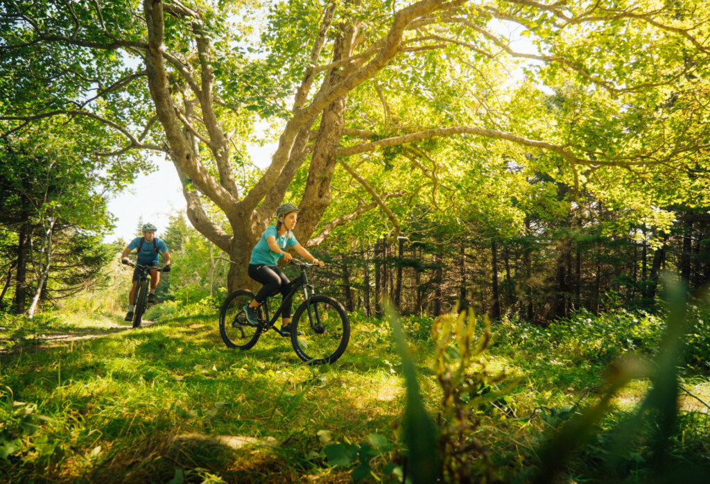 Pippy Park Mountain Bike Trails