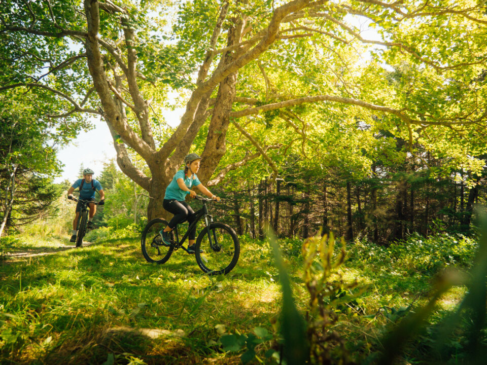 Pippy Park Mountain Bike Trails