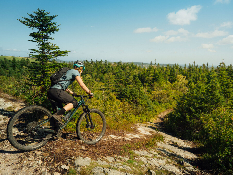 Pippy Park Mountain Bike Trails