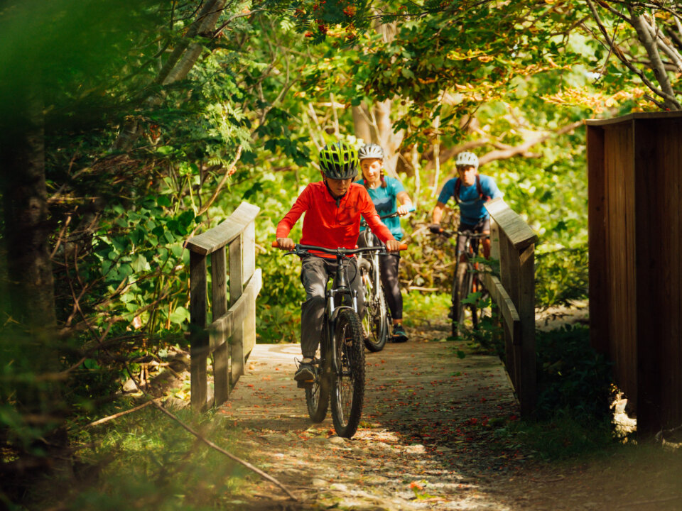 Pippy Park Mountain Bike Trails