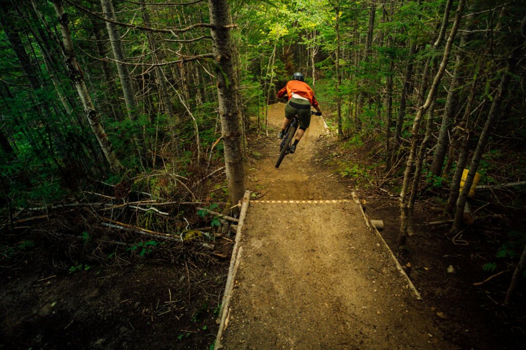 Cub Mountain trail, Corner Brook