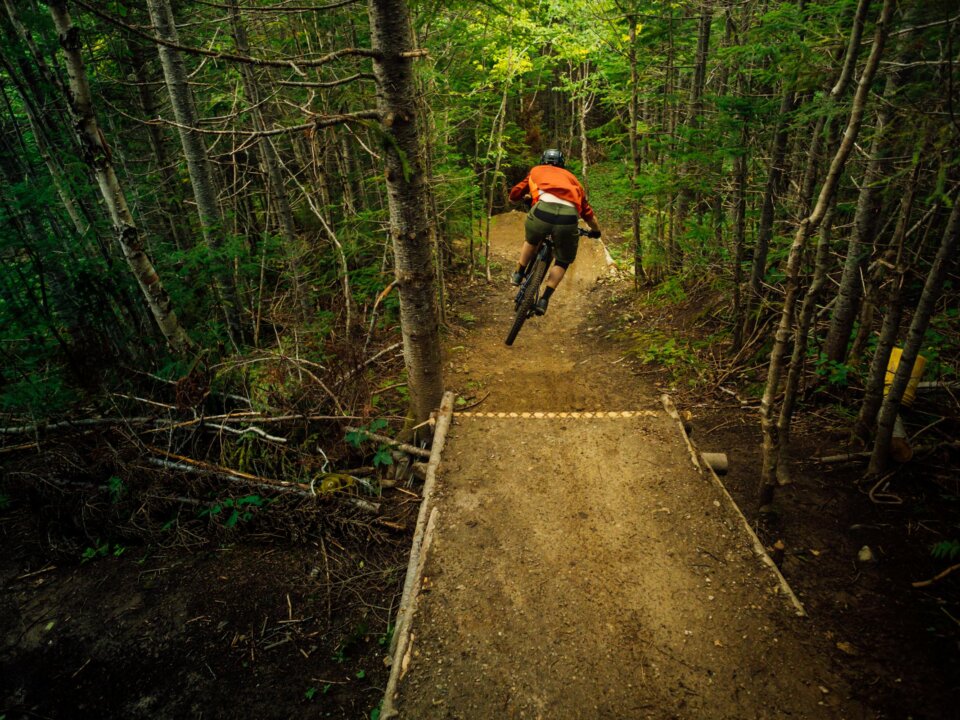 Cub Mountain trail, Corner Brook