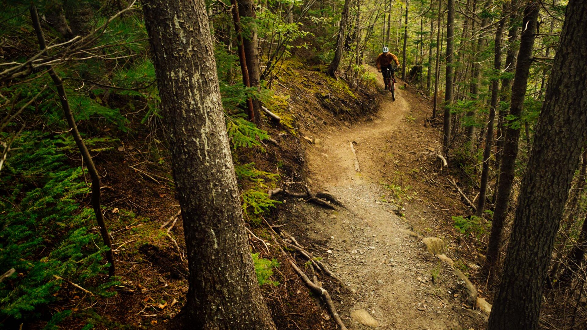 Ginger Route trail, Corner Brook