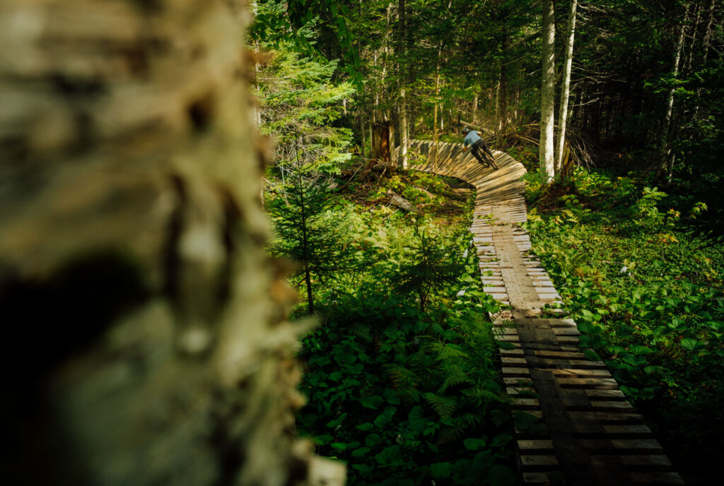 Goldmine Trail, Corner Brook