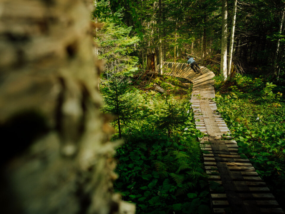 Goldmine Trail, Corner Brook