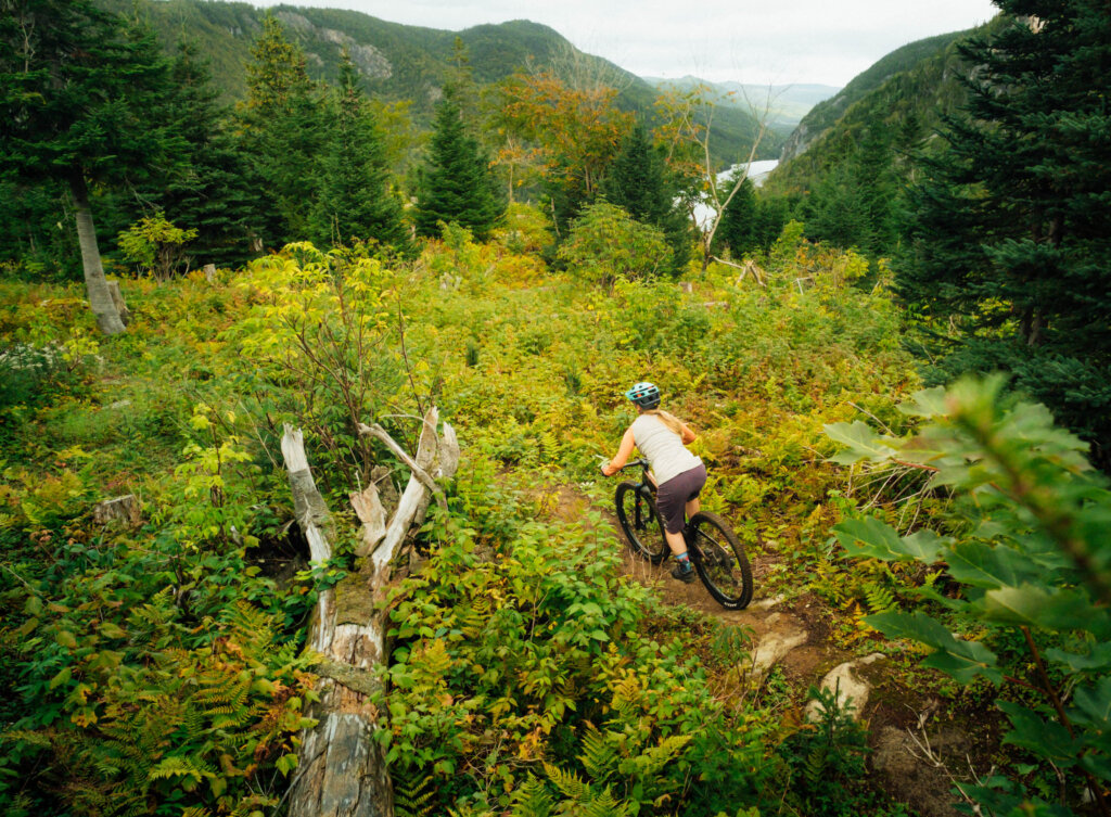 Moose Knuckle trail, Humber Valley