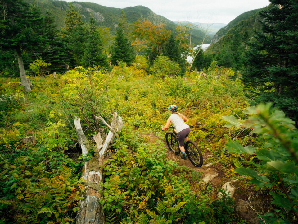 Moose Knuckle trail, Humber Valley