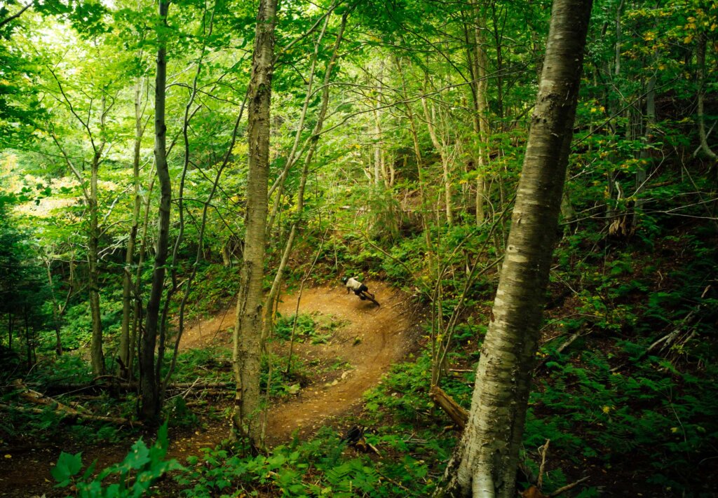 Moose Knuckle trail, Humber Valley