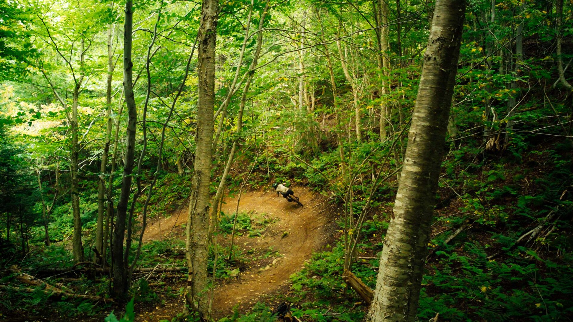 Moose Knuckle trail, Humber Valley