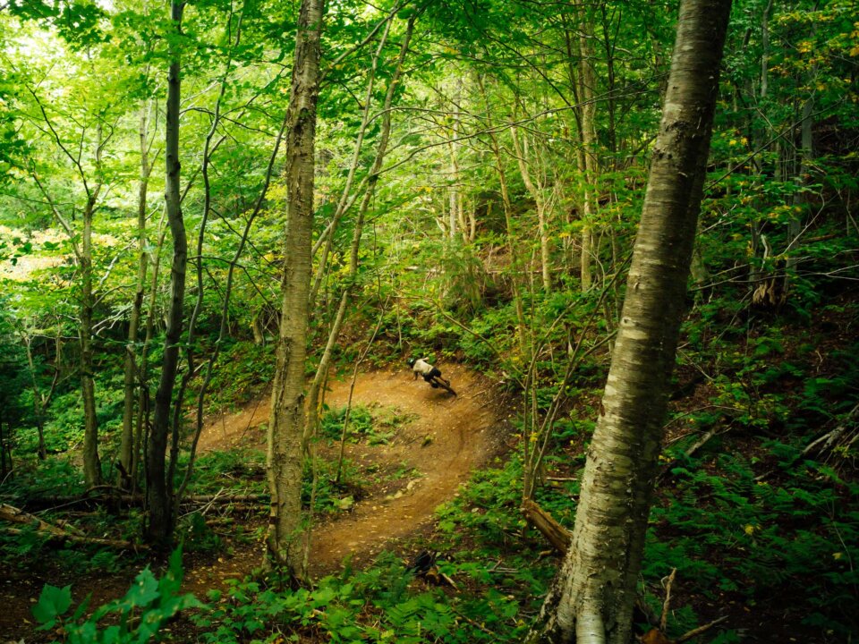 Moose Knuckle trail, Humber Valley